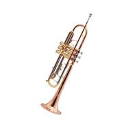 Trompeta Principiante Instrumento De Viento Metal De Prueba De Trompeta De Bronce Fosforado De Grado De Rendimiento Profesional