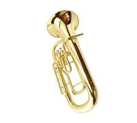 Trompeta Principiante Juego De Trompeta Tenor Corta De Tres Llaves Dorada En Clave B