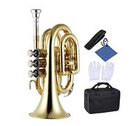 Trompeta principiante Mini BB Trompeta Plana BB Pollado Plano Trompeta De Latón De Latón Instrumento De Viento Con Guantes De Boquilla Limpieza De Telas De Tela Trompeta Latón