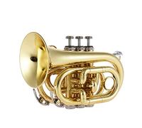 Trompeta principiante Mini Bolsillo Trompeta BB Flat Latong Wind Instrumento De Viento Con Guantes De Boquilla Limpieza De Telas De Tela Trompeta Latón