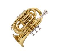 Trompeta Principiante Mini Instrumento De Trompeta Para Principiantes En Si Bemol