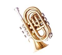 Trompeta Principiante Mini Trompeta De Palma De Tres Notas En Si Bemol Para Principiantes Examen De Interpretación Enseñanza De Banda Profesional