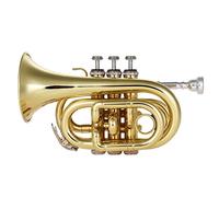 Trompeta principiante Plano De Trompeta De Bolsillo Profesional BB BB BRASS Instrumento De Viento Con Guantes De Boquilla Cepillo De Tela Trompeta Latón