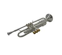 Trompeta principiante Trompeta B Plana BB Key Plateado Plateado Completo Trompeta Chapado En Oro Llaves Pesadas Trompeta Latón
