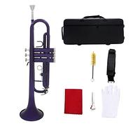 Trompeta principiante Trompeta BB B Plana Trompeta Instrumento De Latón Profesional Trompeta Latón (Color : Purple)