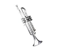 Trompeta Principiante Trompeta De Metal Bañada En Plata Y Lacada En Oro Instrumento De Viento Metal Llave En Si Bemol Para Principiantes Ideal Para Exámenes.(Silver plated)