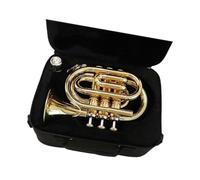 Trompeta Principiante Trompeta De Palma En Si Bemol Instrumento De Metal Enseñanza Para Principiantes Interpretación Profesional