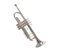 Trompeta Principiante Trompeta En Si Bemol Instrumento Musical De Estilo Plateado Tallado De Alto Rendimiento Para Principiantes Fácil De Tocar.