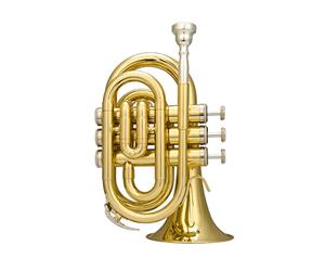 Trompeta principiante Trompeta Portátil B-Flat Pocket Cornet Instrumento De Latón Trompeta Latón