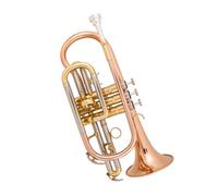 Trompeta Principiante Trompeta Portátil En Clave B Para Principiantes Profesional De Bronce Fosforado Color Dorado Y Plateado.(Phosphor Bronze)