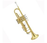 Trompeta Principiante Trompeta Profesional En Si Bemol Instrumento De Nivel Principiante Para Adultos Lacada En Dorado.
