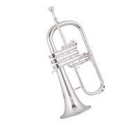 Trompeta Principiante Trompeta Sib Concierto Profesional Maestro Plateado