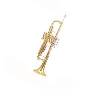 Trompeta Principiante Un Instrumento De Trompeta Para Principiantes Que Toca En Si Bemol Con Boquilla De Bronce Fosforado.
