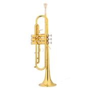 Trompeta Principiantes de instrumento de trompeta en si bemol Jóvenes pioneros tocando tambores y trompas