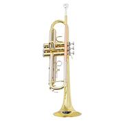 Trompeta Profesional B Plana Trompeta De Tres Tonos Trompeta De Oro De Tres Llaves