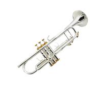 Trompeta Profesional Bb Instrumento Musical Plateado Bocina De Voz De Calidad (Color : 01)