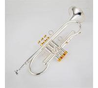 Trompeta profesional Bb Key Latón chapado en oro acabado instrumento de trompeta profesional con caja(Silver)