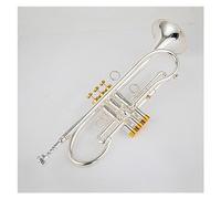 Trompeta Profesional Bb Tune Latón Chapado En Oro Superficie Instrumentos Musicales Profesionales Con Caja (Color : Silver)