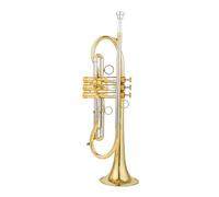 Trompeta Profesional Bb Tune Superficie Chapada En Latón Dorado Instrumentos De Música Profesionales Con Estuche (Color : Gold)