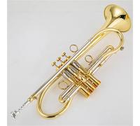 Trompeta Profesional Bb Tune Superficie Chapada En Oro Latón Instrumentos Musicales Profesionales Con Estuche(Gold)