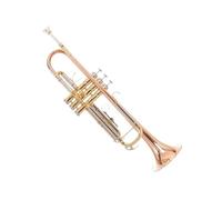 Trompeta Profesional En Si Bemol Para Principiantes Que Quieren Tocar Instrumentos De Metal. Trompeta Profesional