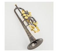 Trompeta profesional Instrumentos Musicales Para Principiantes Trompeta Bb Si Bemol Llave Plana De Latón Instrumentos Musicales De Trompeta Profesional