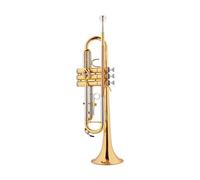 Trompeta Profesional Para Tocar, Soldadura Sin Plomo, Instrumento De Banda De Viento Para Adultos, Trompeta Plana B (Color : 04)