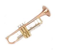 Trompeta Profesional Si Bemol Artesanía Instrumento De Jazz Plateado Tallado Cuerno De Patrón Uno A Uno