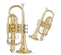 Trompeta profesional Si Bemol Corneta Trompeta Instrumento Musical Examen De Grado Principiante Profesional Tocando Oro
