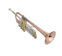 Trompeta profesional Trompeta Si Bemol Instrumento De Viento Bronce Fósforo Grado Principiante Examen Rendimiento Estudiantes