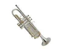 Trompeta Sib Profesional De Acero Inoxidable Lacado Plateado Y Dorado Tipo Trompeta Pequeña Instrumentos De Viento Tono Trompeta