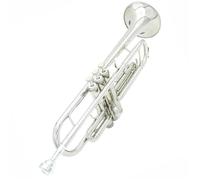 Trompeta Sib Si Bemol Material De Latón Trompeta Instrumento Musical Profesional Con Estuche Guantes Correa