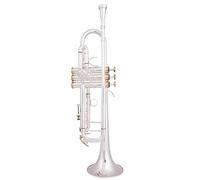 Trompeta Sib Si Plana Latón Chapado En Plata Trompeta Profesional Instrumentos Musicales (Color : 02)