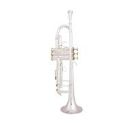 Trompeta Sib Si Plana Latón Chapado En Plata Trompeta Profesional Instrumentos Musicales Con Estuche De Cuero (Color : Silver)