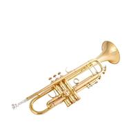 Trompeta Sib Si Plana Latón Chapado En Plata Trompeta Profesional Instrumentos Musicales Con Estuche De Cuero (Color : Silver)