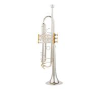 Trompeta Sib Si Plana Latón Chapado En Plata Trompeta Profesional Instrumentos Musicales Con Estuche De Cuero (Color : Gold)
