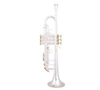 trompeta Trompeta Bb Trompeta Plateada Instrumento Musical De Latón Pequeño Material Del Cuerpo De Trompeta Cobre Fósforo(Color:Golden)