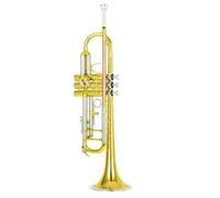 Trompeta Trompeta De Afinación BB Con Tubo De Cuproníquel Cuerpo De Latón Instrumento De Latón Profesional Clásico