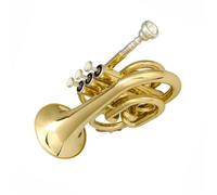 Trompeta Trompeta De Bolsillo De Latón En Si Bemol Instrumento Musical Lacado De Acero Inoxidable Profesional Para Principiantes Tono Completo