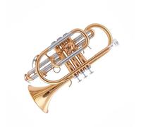 Trompeta Trompeta Instrumento Musical Lacado Oro Llave B Instrumento De Viento Profesional Latón Duradero Tono Rico Trompeta