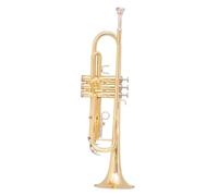 Trompeta Trompeta Instrumento Musical Si Bemol Trompeta Plana De Latón Lacado En Oro Tocando Instrumentos Musicales Profesionales