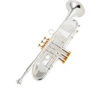 trompeta Trompeta Pequeña Bb, Instrumentos Musicales Profesionales Con Llave Dorada Y Plateada, Con Estuche