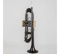 Trompeta Trompeta Pequeña Bb Llave De Oro Y Níquel Instrumentos Musicales Profesionales Con Estuche