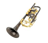 trompeta Trompeta Sib Si Bemol Llave Plana De Latón Trompeta Profesional Instrumentos Musicales Con Estuche De Cuero Negro Níquel Oro