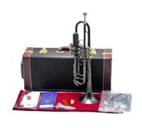 Trompeta Trompeta Tubo Plano Instrumento Metal Amante De La Música(D)