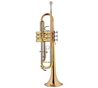 Trompetas B-Flat Professional Playing Trumpet Fosfor Bronce Boquilla Tubo Examen De La Escuela Instrumento trompeta