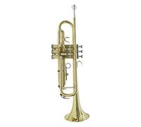 Trompetas B-Flat Trompet Es Adecuado Para Que Los Principiantes Jueguen La Prueba De Oro De Triple De Tres Tonos Para Adultos Y Niños Instrumento trompeta (Color : 3/4)