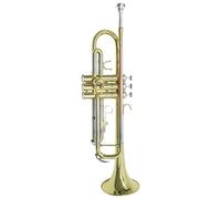 Trompetas B-Flat Trompet Es Adecuado Para Que Los Principiantes Jueguen La Prueba De Oro De Triple De Tres Tonos Para Adultos Y Niños Instrumento trompeta (Color : 4)