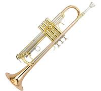 Trompetas B-Flat Trumpet Phosphor Bronce Brown Trumpet Trumpet Professional Introducción Instrumento trompeta
