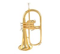 Trompetas B Plano Trompeta Instrumento Dorado Plata Principiante Prueba De Rendimiento Instrumento trompeta (Color : Gold)